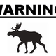 Illustration for article titled Canadian Government: Moose Will Lick Your Car, Just Let It Happen
